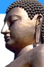 BUDDHIST PILGRIMAGE