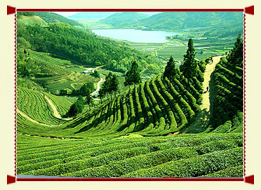 East India Travel Package